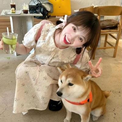 少年追梦情